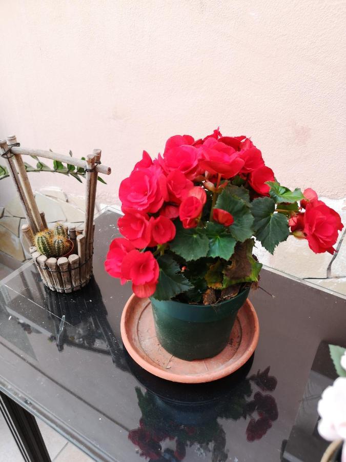 B&B Casa Valeria Katania Zewnętrze zdjęcie