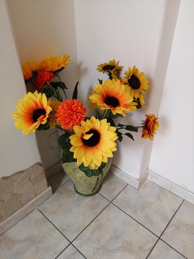 B&B Casa Valeria Katania Zewnętrze zdjęcie